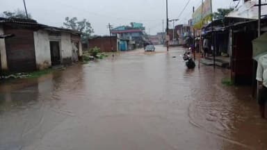 भंडरा: भंडरा में बारिश से जनजीवन अस्त-व्यस्त, सड़कों- गलियों में जलजमाव, धान रोपनी ने पकड़ी रफ्तार, सब्जी फसलों पर बढ़ा संकट।
