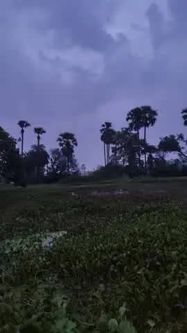 asarganj Munger dulhar to asarganj muk marg pa 11000 bolat me lage shot sherkit garemin me halchel...