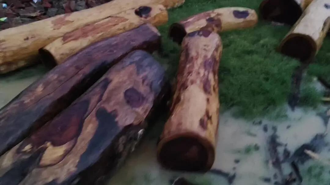 यहां पर अब एक काम दो नंबर का काम हो रहा है सरकार कोई भी कम नहीं उठा रही है