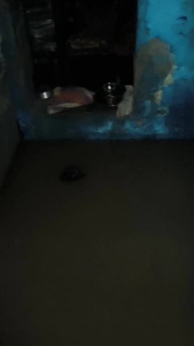 dabra me gharo me Pani ghussa raha h koi sunbai nhi h mere ghar ki halt dekho