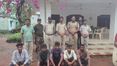 मझगवां: वन परिक्षेत्र मझगवां अंतर्गत बीट कररिया के चौराहा हार में बाघ के शिकार के प्रकरण में वन विभाग की टीम द्वारा कार्यवाही कर