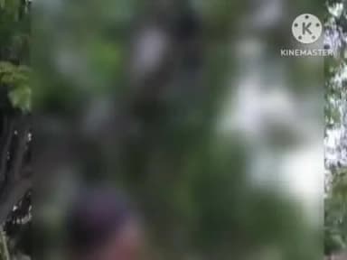 पट्टी: चांदपुर चौमरी गांव में घर के पास नीम के पेड़ से लटकता मिला 26 वर्षीय युवक का शव