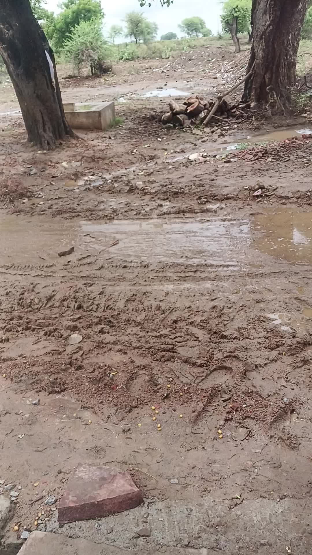 बोदर में सड़क की स्थिति खराब हे सेकेट्री और सरपंच की लापरवाही