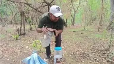 आबू रोड: आबूरोड में बारिश के बाद बढ़ी सांपों की गतिविधि, 8 सांप और एक अजगर का सफल रेस्क्यू किया गया