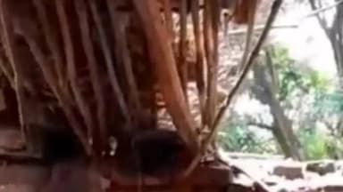 गुढ़: गुढ़ क्षेत्र में जंगली हाथियों का तांडव: धवर गांव में ग्रामीण का मकान तोड़ा, बाल-बाल बची जान, दहशत में कई गांव