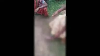 बरघाट: बरघाट आगरवाडा ग्राम में बाघ के हमले से ग्रामीण महिला गंभीर घायल