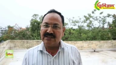 बदलते मौसम और वर्षा की अनिश्चित परिस्थितियों को देखते हुए कृषि वैज्ञानिक श्री एसके सिंह ने कृषि कार्य के लिए किसानों को दी सलाह
#JansamparkMP
#Jansamparktikamgarh
#tikamgarh