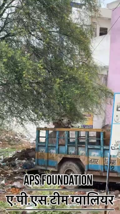सबसे खतरनाक रेस्क्यू 5 से 6 घंटे का रेस्क्यू केस ये नंदी महाराज के बहुत ज्यादा चोट थी..!
#apsgurjar #viral #gwalior