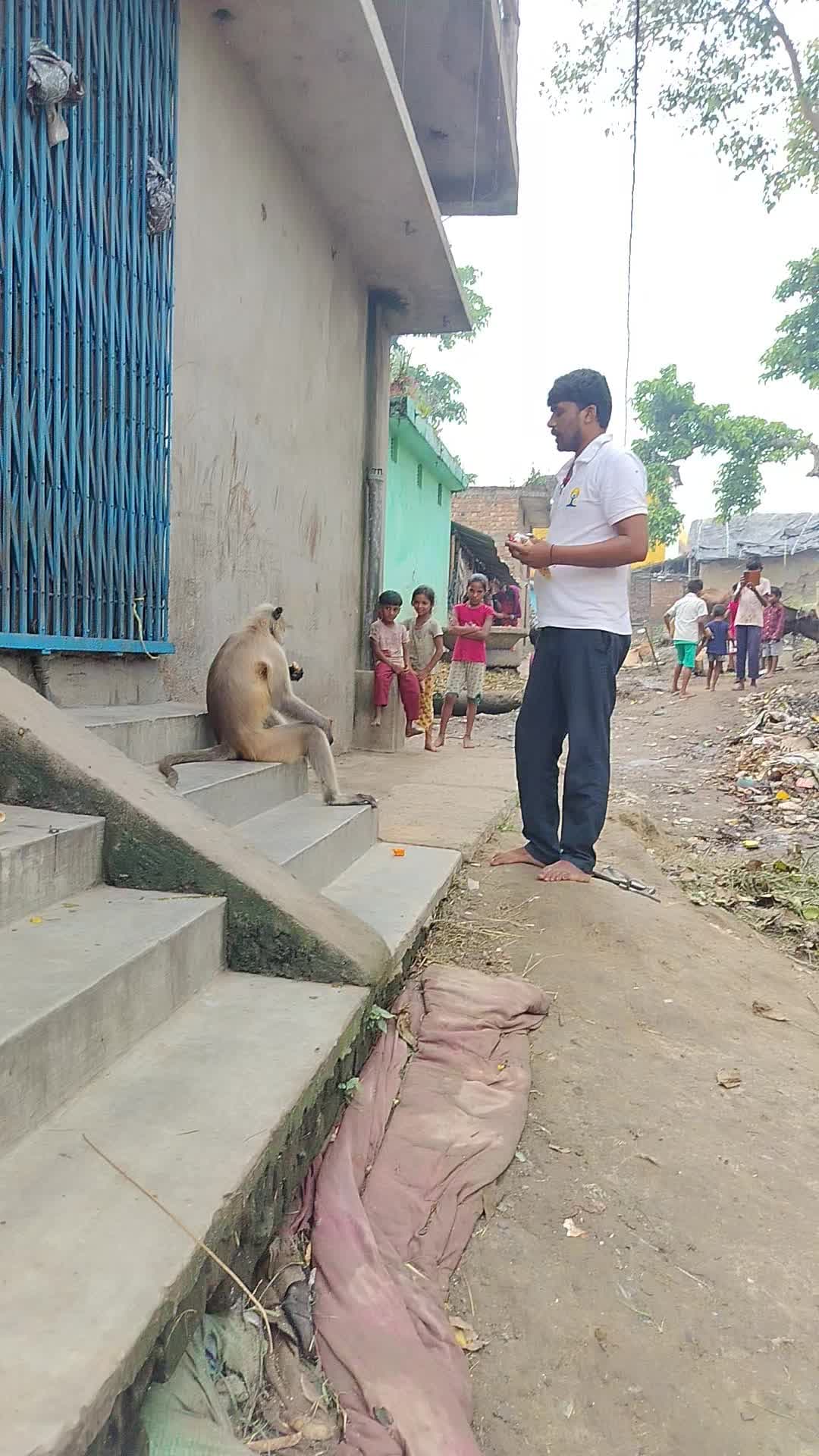 Suman Kumar Khalilabad jila Bhagalpur