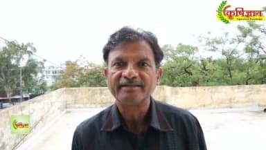 कृषि विज्ञान केंद्र के प्रधान वैज्ञानिक एवं प्रमुख डॉ. बी.एस. किरार ने मानसून में अनियमिता की स्थिति में जिला टीकमगढ़ हेतु खरीफ फसलों एवं सब्जियों के लिए आकस्मिक कृषि कार्ययोजना की जानकारी दी
#JansamparkMP
#jansampartikatikamgarh
#tikamgarh