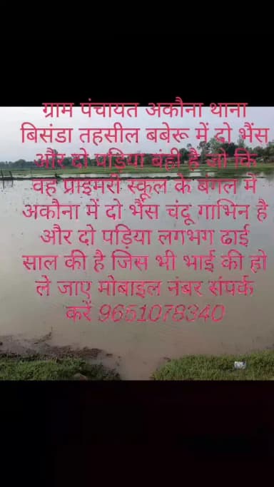 आशीष कुमार राजपूत अकौना थाना बिसंडा तहसील बबेरू