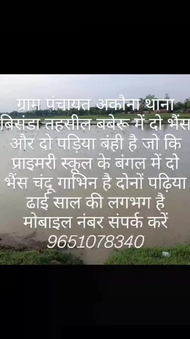 आशीष कुमार राजपूत अकौना थाना बिसंडा तहसील बबेरू