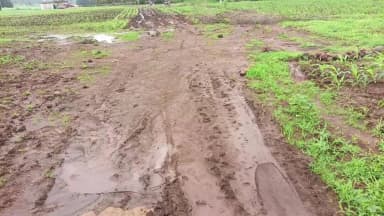 ग्राम सालीवाड़ा शारदा ब्लॉक अमरवाड़ा के खजरी मोहल्ले की सड़क का हल बेहाल है, थोड़ी सी बारिश के बाद रोड में चलना मुश्किल ह