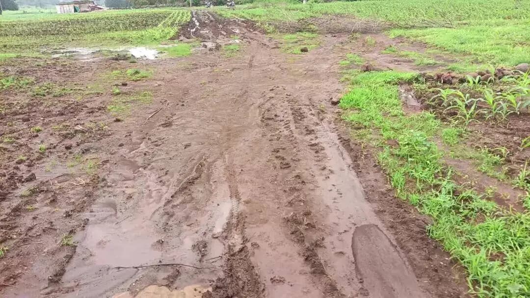 ग्राम सालीवाड़ा शारदा ब्लॉक अमरवाड़ा के खजरी मोहल्ले की सड़क का हल बेहाल है, थोड़ी सी बारिश के बाद रोड में चलना मुश्किल ह