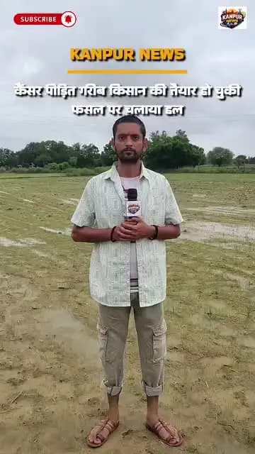 तैयार खड़ी फसल में चलाया ट्रैक्टर मामला साढ़ थाना क्षेत्र के अकबरपुर बरूई गांव का