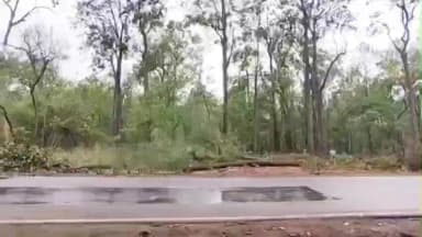 ऋषिकेश: ऋषिकेश के सात मोड़ में जंगल की कटाई शुरू, वन विभाग से उठे सवाल
