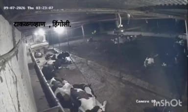 परभणी: परभणी, हिंगोली जिल्ह्यात पहाटे भूकंपाचे चार सौम्य धक्के :अफवांवर विश्वास न ठेवता सतर्क राहण्याचे जिल्हा प्रशासनाचे आवाहन