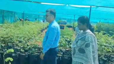 விராலிமலை: மண்டையூரில் 10 லட்சம் செலவில் மரக்கன்று வட்டார நாற்றங்கால் பண்ணை உற்பத்தி செய்யும் பணியை ஆய்வு செய்த ஆட்சியர் அருணா மற்றும் பிரசாத் வாட்னேரே IAS