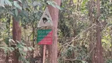 ଘସିପୁରା: ବରାଙ୍ଗ ସଂରକ୍ଷିତ ଜଙ୍ଗଲ ରାସ୍ତାରେ ହରିଣ ସହିତ ବାଇକ ଧକ୍କା, ହରିଣ ମୃତ ଦୁଇ ଯୁବକ ଗୁରୁତର