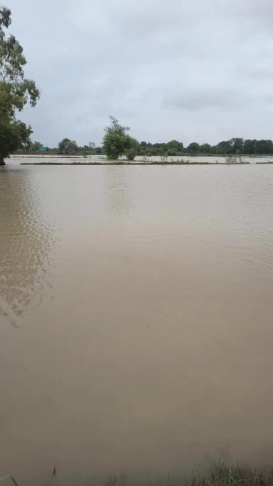 barish se logo ka nuksaan ho gya