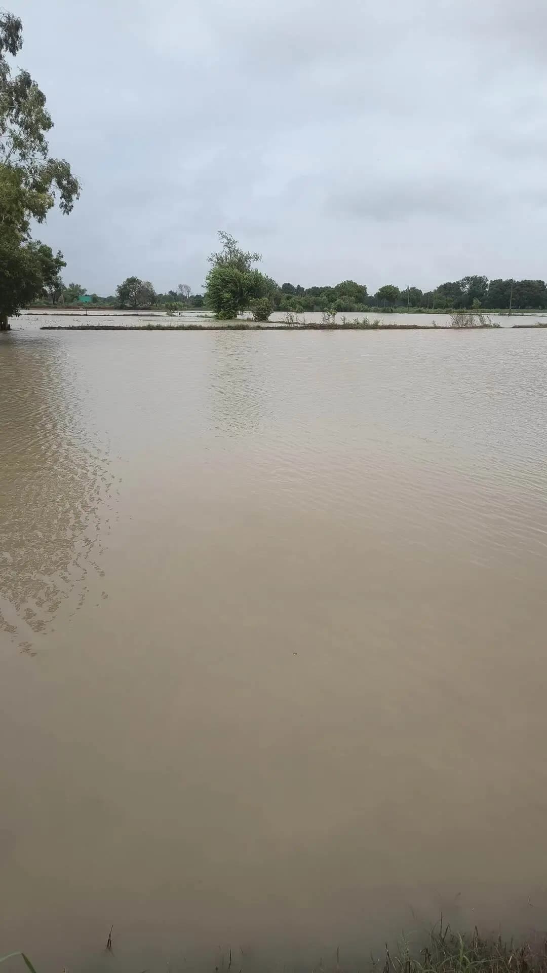 barish se logo ka nuksaan ho gya