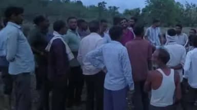 कारंजा: समोर दोन वाघ अन् झाडावर जीवाची झुंज! तासभर मृत्यूच्या सावटाखाली अडकला तरुण