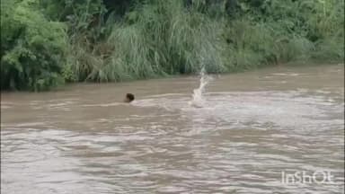संडीला: कछौना में नदी में नहाते समय डूबीं दो सगी बहनें, किसान ने जान पर खेलकर एक को बचाया, दूसरी की तलाश जारी