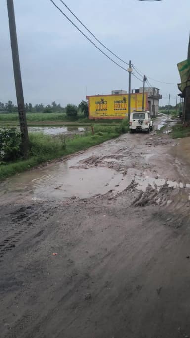 gram chaubara post gajroula jila Amroha tahsil Hasanpur