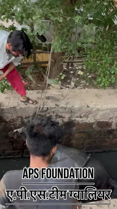 गौ माता ने बहुत लाते मारी जिशकी कोई सीमा नही हम ने हार नही मानी फिर भी..!
Respect Girls help poor help animals
#apsgurjar #viral #gwalior