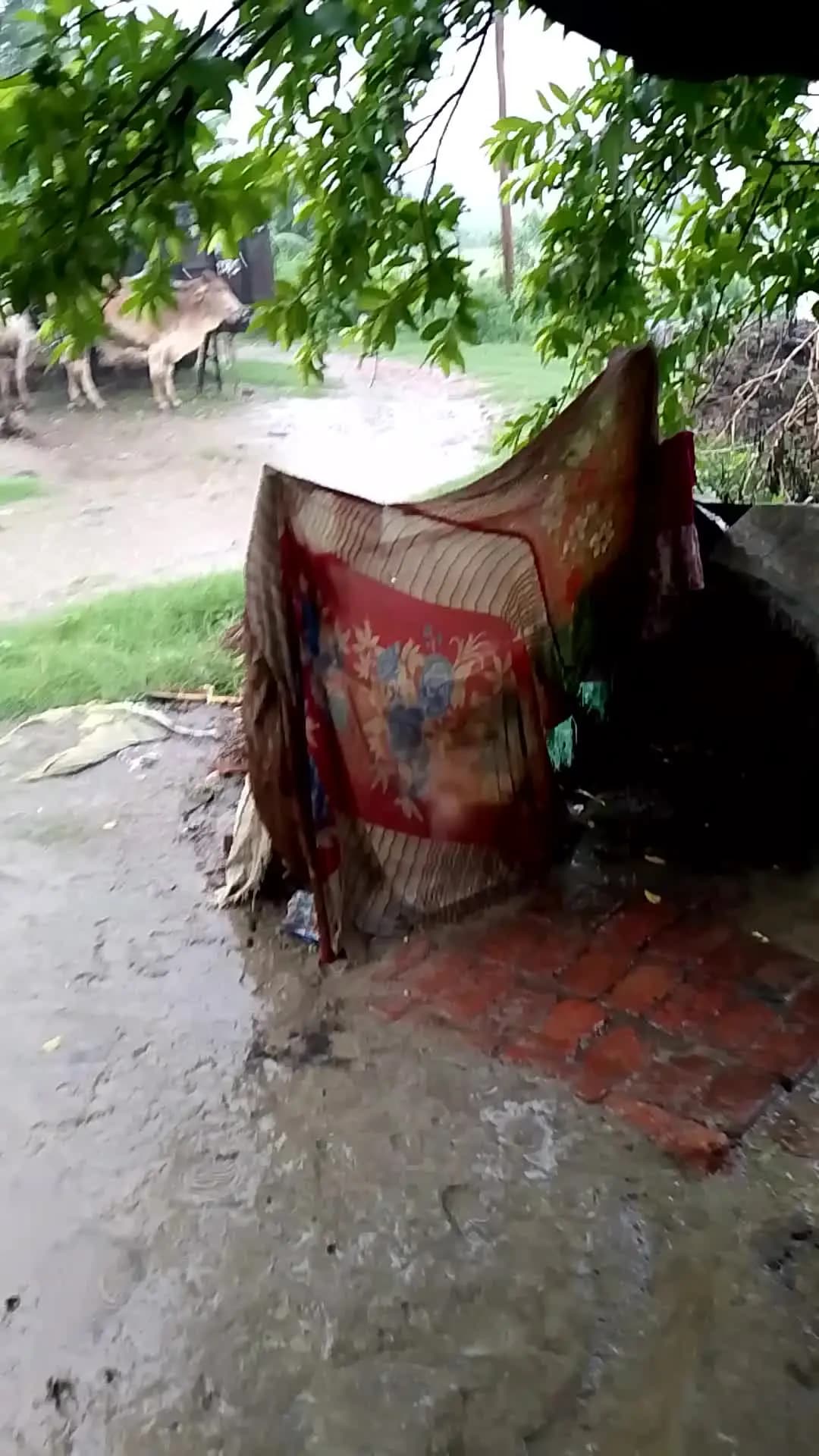 # ग्राम रामखेड़ा
में अचानक बारिश होने के कारण रोड भर चुकी है