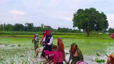 भिनगा: खेत में धान की रोपाई करते पूर्व विधायक सपा नेता का वीडियो सोशल मीडिया पर तेजी से वायरल