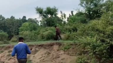 नजीबाबाद: वन प्रभाग नजीबाबाद की साहूवाला रेंज क्षेत्र में खैर तस्करों का आतंक बरकरार, खैर के पेड़ काटे गए