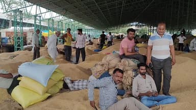 मंदसौर: कृषि उपज मंडी में मुल्तानी गैंग कर रही चोरी व्यापारियों को मिली धमकी सोयाबीन मंडी में नीलामी कार्य बंद,