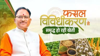 सुशासन सरकार धान के साथ-साथ दलहन, तिलहन, मक्का, कोदो, कुटकी और रागी जैसी वैकल्पिक फसलों को बढ़ावा दे रही है। कृषक उन्नति योजना के तहत इन फसलों की खेती करने वाले किसानों को ₹15 हजार प्रति एकड़ की आदान सहायता दिए जाने का भी निर्णय लिया गया है। फसल विविधीकरण किसानों की आय बढ़ाने और खेती को अधिक लाभकारी बनाने का मजबूत जरिया है।
#KrishakUnnatiYojana #CropDiversification #FarmersWelfare #Agriculture #ViksitChhattisgarh #GoodGovernance #Sushasansarkar #Chhattisgarh