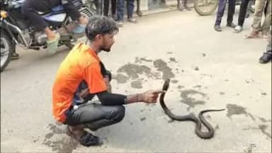 लालगंज: लहंगपुर बाजार में प्राचीन कुएं में गिरे सर्प को वन विभाग की टीम ने सर्पमित्र के सहयोग से किया रेस्क्यू