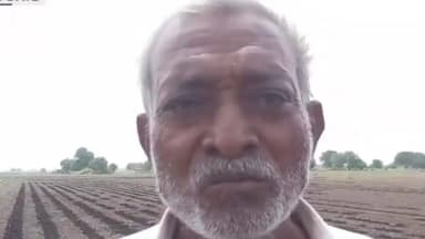 ગારિયાધાર: પાંચ ટોબરા ગામે ભૂંડનો આતંક: મગફળીના પાકને ભારે નુકસાન