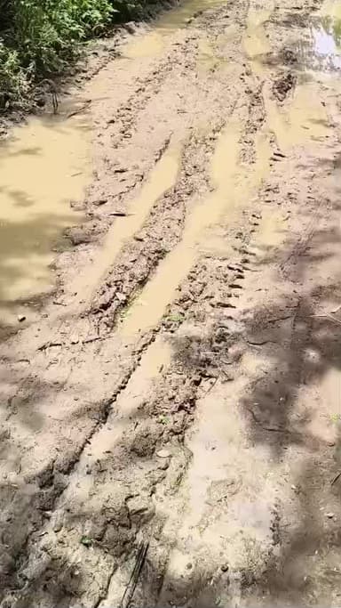 जौरा के पास स्थित गुढ़ा आसान पंचायत मे घुघस गांव की सड़क का हाल सरपंच कुछ कर ही नही रहा सरपंच गौरेला कुशवाह