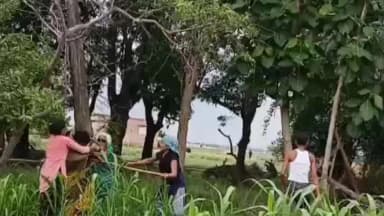 आज़मगढ़: तरवां थानाक्षेत्र में महिला को लाठी-डंडे से खेत में घसीटकर 4 लोगों ने बेरहमी से पीटा, वीडियो वायरल