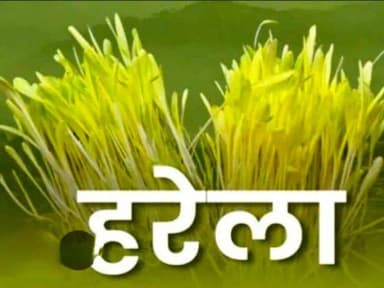 रुद्रप्रयाग: हरेला पर उत्तराखंड में 11 लाख पौधे लगाने का धमाका, जानिए कैसे जुड़ेगी आपकी जिंदगी