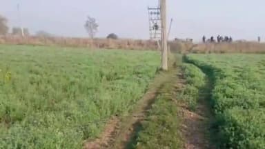 घोसवरी: घोसवरी में 20 पोल से बिजली तार की चोरी, किसानों की बढ़ी परेशानी