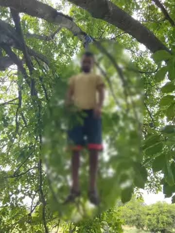 ನೆಲಮಂಗಲ: ನೆಲಮಂಗಲದ ಬಳಿ ಹೊಂಗೆ ಮರಕ್ಕೆ ಟವಲ್ನಿಂದ ನೇಣು ಬಿಗಿದುಕೊಂಡು ವ್ಯಕ್ತಿ ಆತ್ಮಹತ್ಯೆ