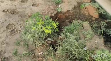 कैलारस: सड़क किनारे उगी घनी झाड़ियां, पेड़-पौधे और गहरे गड्ढे राहगीर परेशान
#जनसमस्या
