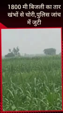 सरधना: कक्केपुर गांव के जंगल में चोरों ने बीती रात 1800 मीटर विद्युत लाइन का तार किया चोरी, पुलिस मामले की जांच में जुटी