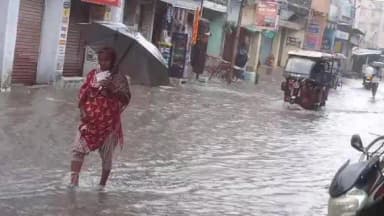 शिवहर: शिवहर में 24 घंटे में औसतन 35.7 मिमी बारिश, कई इलाकों में जलजमाव; बागमती का जलस्तर बढ़ा