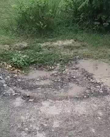 पुवायां: जैतीपुर क्षेत्र में सड़क बेहद खराब, कई जगह गहरे गड्ढे, लोगों ने सड़क सुधारने की मांग की