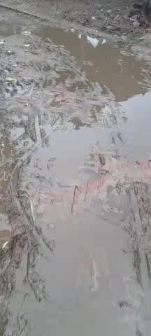 लालपुर दुल्हापुर में नहीं रुक रहा है सीसी रोड पर पशुओं का बांधना बारिश आते ही सीसी रोड कचरे में डूब जाता है