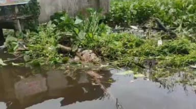বারাসাত ১: বামনগাছিতে খাল পরিষ্কার করতে গিয়ে একি কাণ্ড ? ঘটনাস্থলে পুলিশ!কি বলছেন বিজেপি নেতা