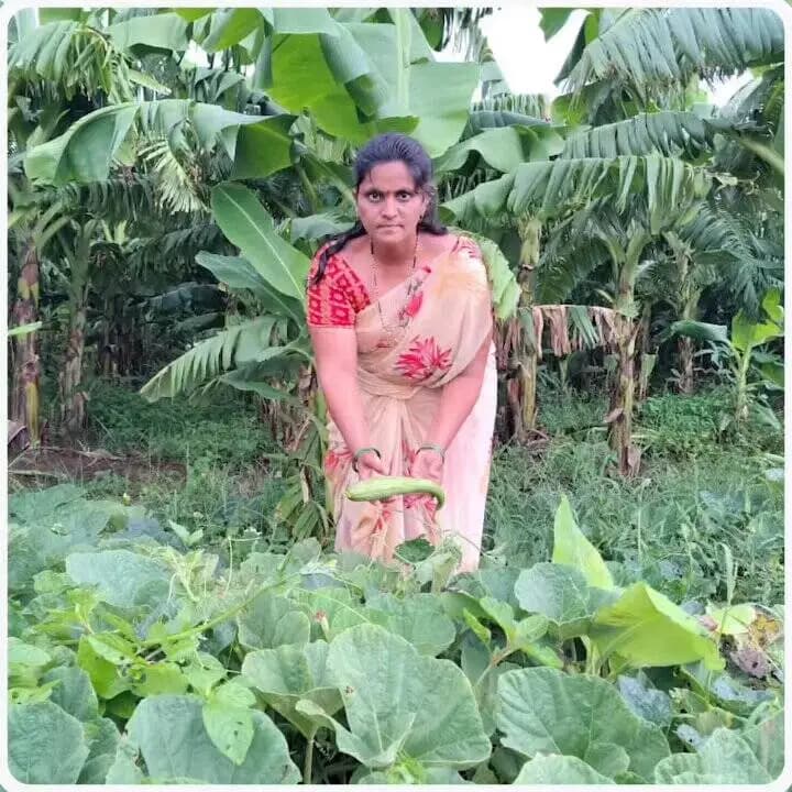 🌱 कम लागत, बेहतर उत्पादन और प्रकृति का संरक्षण—यही है प्राकृतिक खेती की पहचान।
@CMMadhyaPradesh
@DrMohanYadav51
@minmpkrishi
@horticulturemp
@srlm_mp
@JansamparkMP
#JansamparkMP
#Burhanpur
#बुरहानपुर
#Madhyapradesh
#Womenempowerment
#कृषक_कल्याण_वर्ष_2026 #mpkisan https://t.co/L6JuCicZBu