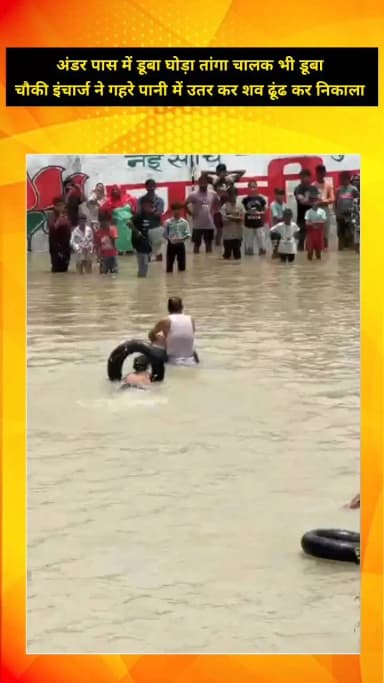 मेरठ: लोहिया नगर अंडर पास में गहरे पानी में डूबा घोड़ा और चालक दोनों को चौकी इंचार्ज ने उतरकर शव किया बरामद