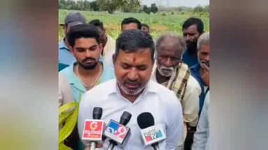 ಸಕಲೇಶಪುರ: ಬಿಳಿ ಸುಳಿ ರೋಗದಿಂದ ಜೋಳದ ಬೆಳೆ ನಾಶ: ರೈತರ ಸಂಪೂರ್ಣ ಸಾಲಮನ್ನಾಕ್ಕೆ ನಗರದಲ್ಲಿ ಶಾಸಕ‘ಸಿಮೆಂಟ್ ಮಂಜು’ ಒತ್ತಾಯ